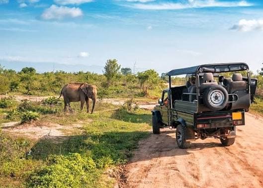 Udawalawe Elephant Sanctuary