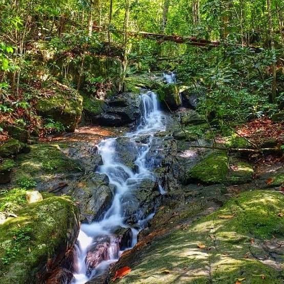 Sinharaja Rain Forest Wilderness