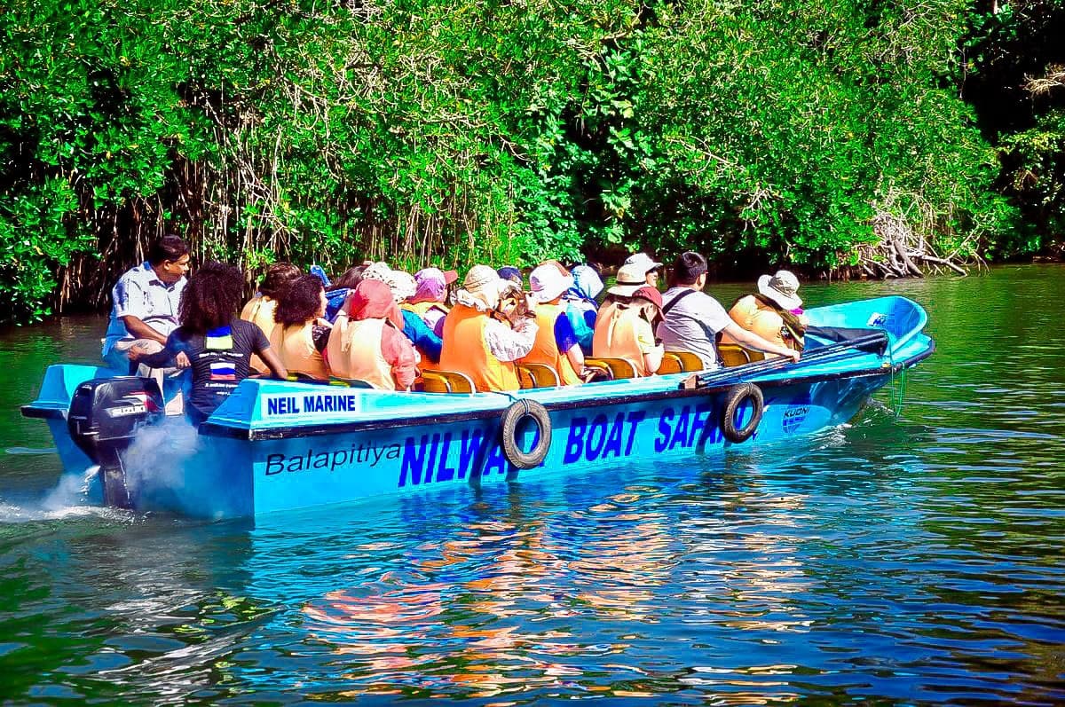 Half-Day Tour Excursions